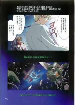 (C70)[Hen Rei Kai (Kawarajima Kou)] SEED ANOTHER CENTURY D.E. 2 (Gundam SEED Destiny) page 4