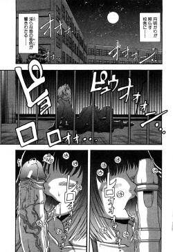 [Hattori Shinobu] Eroi Tenkousei page 5