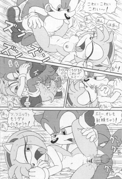 (CR34) [Furry Bomb Factory (Karate Akabon)] Furry BOMB #1 (Sonic the Hedgehog) page 4
