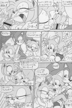 (CR34) [Furry Bomb Factory (Karate Akabon)] Furry BOMB #1 (Sonic the Hedgehog) page 5