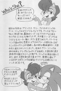 (CR34) [Furry Bomb Factory (Karate Akabon)] Furry BOMB #1 (Sonic the Hedgehog) page 7