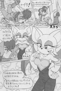 (CR34) [Furry Bomb Factory (Karate Akabon)] Furry BOMB #1 (Sonic the Hedgehog) page 9