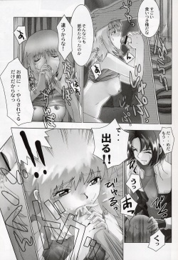 (C64) [Toluene Ittokan (Pierre Norano, Shinagawa Ham)] Ketsu Megaton Seed (Gundam Seed) page 10