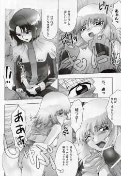 (C64) [Toluene Ittokan (Pierre Norano, Shinagawa Ham)] Ketsu Megaton Seed (Gundam Seed) page 9