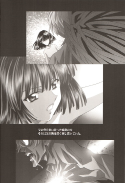 (C68) [HenReiKai (Kawarajima Koh)] AmiHota!! Side:D Take:0 (Bishoujo Senshi Sailor Moon) page 9