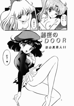 (CR17) [Henreikai (Various)] Henreikai Premium (Bishoujo Senshi Sailor Moon) page 4