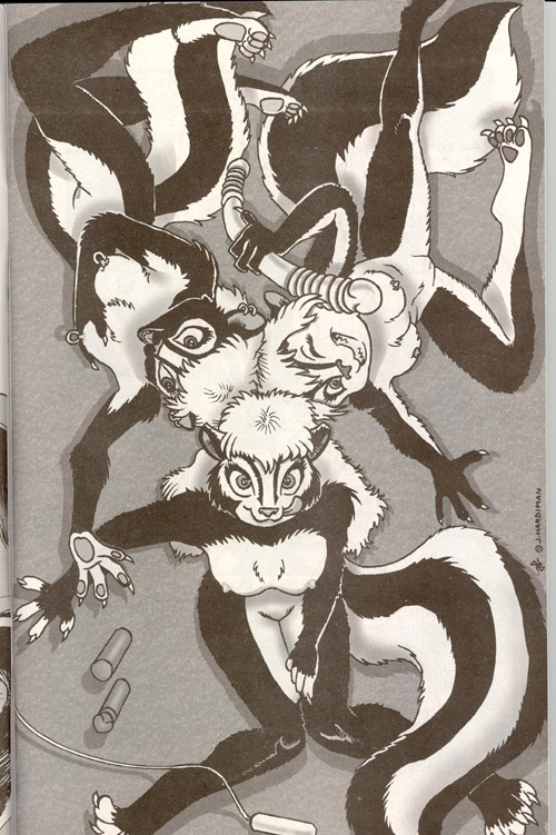 Skunkworks - Reflections page 7 full