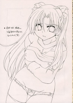 (ComiComi10) [GUNBURREL (Ikura Nagisa)] Silhouette X (Fate/stay night) page 2