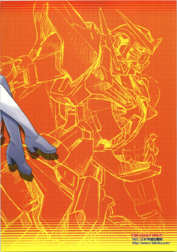 (C74) [Nippon Teikoku Toshokan (Kiya Shii, Hanpera)] Nena Typhoon (Gundam 00) page 2