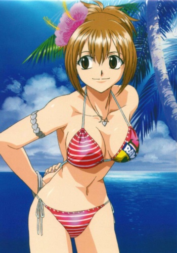 Rave Master cover