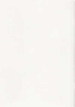 (COMIC1☆3) [Butagoya (Kemigawa Mondo)] Mai Revolution (The King of Fighters) page 2
