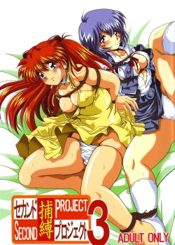 [Thirty Saver Street 2D Shooting (Maki Hideto, Sawara Kazumitsu)] Second Hobaku Project 3 (Neon Genesis Evangelion) page 2