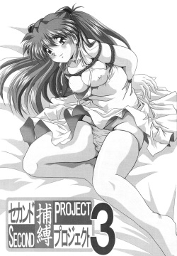 [Thirty Saver Street 2D Shooting (Maki Hideto, Sawara Kazumitsu)] Second Hobaku Project 3 (Neon Genesis Evangelion) page 3