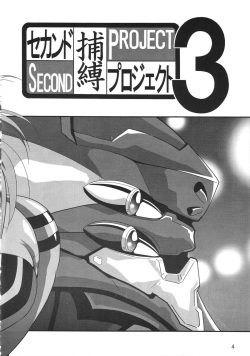 [Thirty Saver Street 2D Shooting (Maki Hideto, Sawara Kazumitsu)] Second Hobaku Project 3 (Neon Genesis Evangelion) page 4