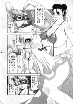 (C72) [Harem (Mizuki Honey)] Bang! Bang! Vacation! (Street Fighter) page 3