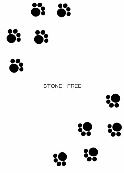 (CR33) [BLACK DOG (Kuroinu Juu)] STONE FREE (Jarinko Chie) [English] page 1