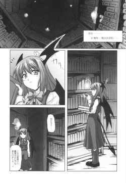 (C69) [Mirabilien Fabrik (Yuzu Momo)] Mahou Toshokan no Yoru (Touhou Project) page 4