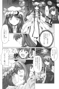 (C69) [Mirabilien Fabrik (Yuzu Momo)] Mahou Toshokan no Yoru (Touhou Project) page 5