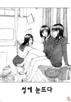 (C73) [YAKIYAMA LINE (Kahlua Suzuki)] Binetsu no Mezame [Korean] [Project H, LACRIMA] page 3