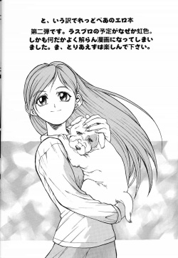 (C51) [Tex-Mex (Red Bear)] Nijiirobon no Kiseki - Miracle in Rainbow-Colored Street (Quiz Nanairo Dreams) page 3
