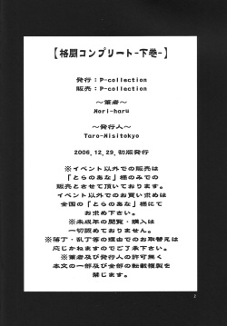 (C71) [P-collection (nori-haru)] Kakutou Complete Gekan (Street Fighter) page 3
