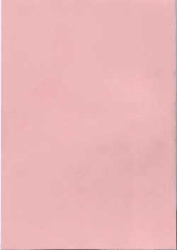 [Azuma Tesshin] Pink no Ana - Hole of Pink page 5