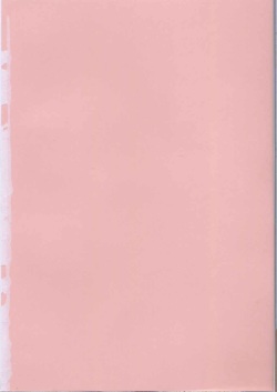 [Azuma Tesshin] Pink no Ana - Hole of Pink page 6