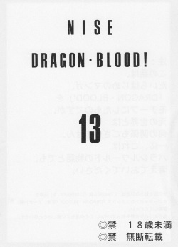 (C67) [LTM. (Taira Hajime)] Nise Dragon Blood! 13 page 3