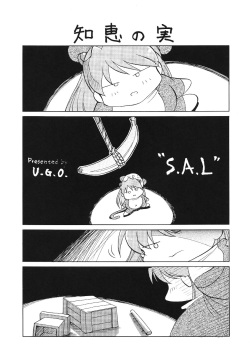 (C54) [UGO (Nibasha Yureru)] SAL (Neon Genesis Evangelion) page 2