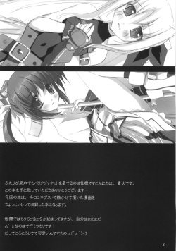 (Lyrical Magical 02) [Private Garden (Tsurusaki Takahiro)] Retrieve 4.5 (Mahou Shoujo Lyrical Nanoha) page 3