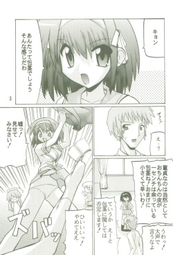(SC32) [Oohashiya (Oohashi Hikaru)] SOSH (Suzumiya Haruhi no Yuuutsu) page 3