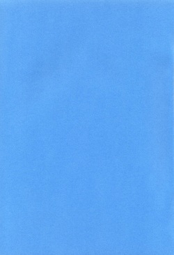[Haniwa Mania (Pon Takahanada)] Shinjji Mania 5 Tsuushin (Neon Genesis Evangelion) page 2