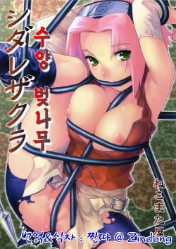 (C69) [Nekomataya (Nekomata Naomi)] Shidare Zakura / 수양 벚나무 (Naruto) (나루토) [Korean] page 1