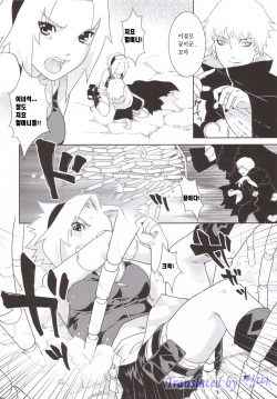 (C69) [Nekomataya (Nekomata Naomi)] Shidare Zakura / 수양 벚나무 (Naruto) (나루토) [Korean] page 5