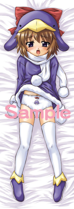 Huge Dakimakura Collection page 7