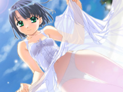 Love Hina Collections Shinobu page 1