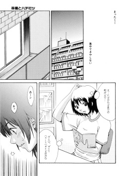 [Mikami Canon] Girl's Go Happy! page 8