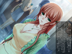 [Hengen Monogatari] Kyonyuu Cosplay Nee-sama ~Ecchi na Kakikoushuu~ page 3
