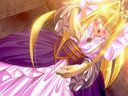 [Rouge] Utsukushi Hime ~Mahou Choukyou Monogatari~ page 9