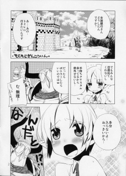 (C77) [dicca (Suemitsu Dicca)] Korizuni Josou Shounen Hon 3 (Fantasy Earth ZERO) page 2