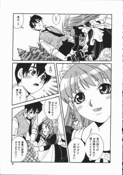 [Suika Koron] Maid Choukyou Manual - Manual Of Maid Training page 10