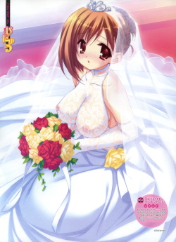 Wedding-dress collection page 1