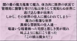 [Shippo Banchou] Mahou Shoujo Nano IV - Rekka and Raikou -  (Mahou Shoujo Lyrical Nanoha) page 3