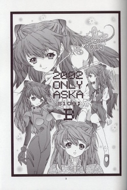 (C63) [Chimatsuriya Honpo (Asanagi Aoi)] 2002 Only Aska side B (Neon Genesis Evangelion) page 2
