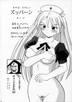 (Comic Castle 2005) [K.Z.Z. Gundan (K.Z.Z.)] Zubbaan (Mahou Sensei Negima!) page 3