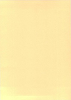 [Sabaneko] Midori No Kougou (Sangoku) page 2