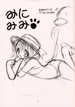 (SC16) [Dotechin Paradice (Ryuuki Yumi)] Minimimi page 2