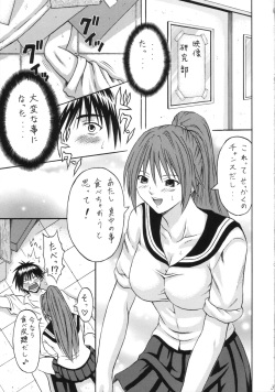 [Tonkatsu] Tonkatsu Evolution Ⅲ (ichigo100%) page 2