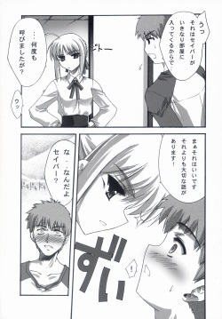 (C66) [BLUE GARNET (Serizawa Katsumi)] BLUE GARNET XVII (Fate/stay night) page 9
