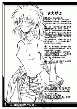 (C68) [MACCHO DANDY (Katsuo)] ~Nyou Shorika no Goannai~ (Super Robot Wars) page 2